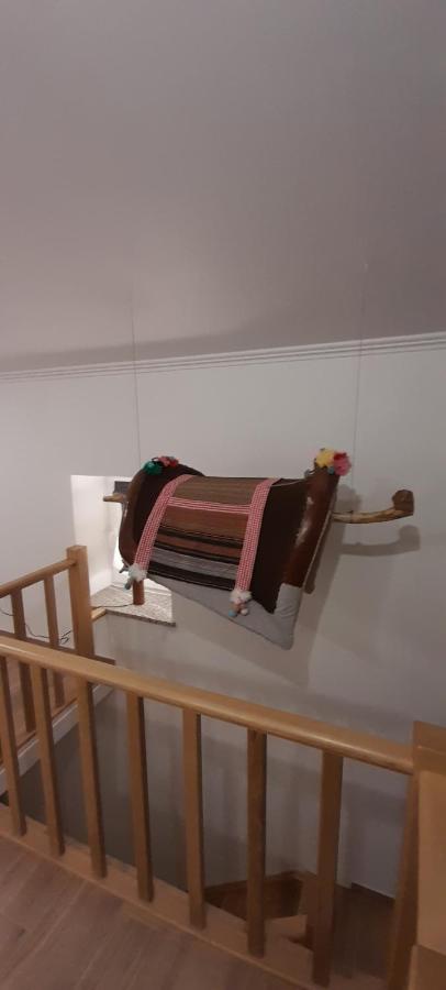 فيلا A Casa Do Maltes Belver  المظهر الخارجي الصورة